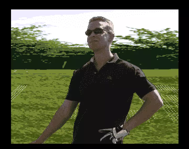 Greener Grass (2015) by Amiga Birthday Committee