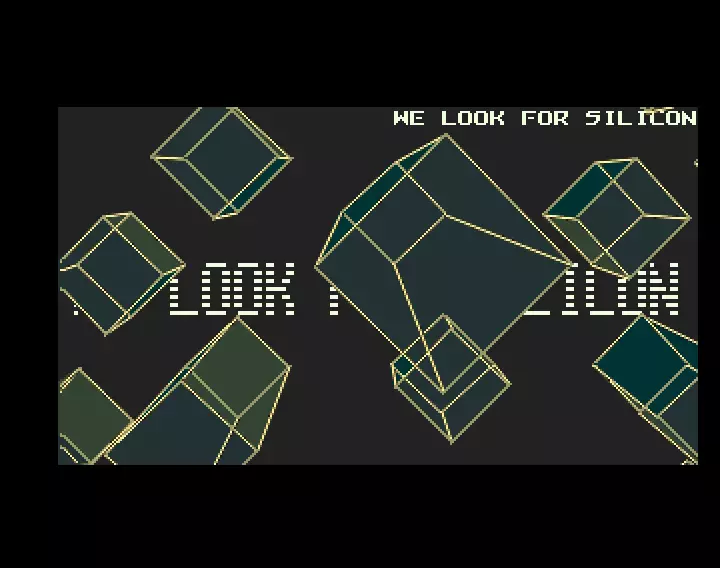 We Look For Silicon