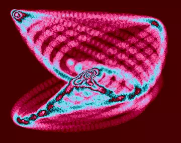 A Deep Blip