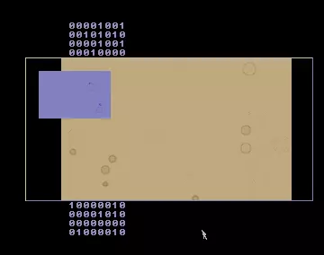 Fee (2000) by Floppy