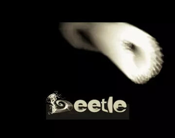 Beetle (1998) by Mystic