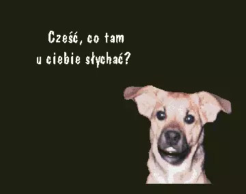 Kociokwik