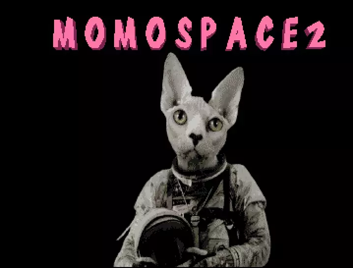 MomoSpace 2