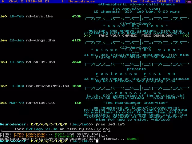C/Flags v1.30 (1998) by 100%